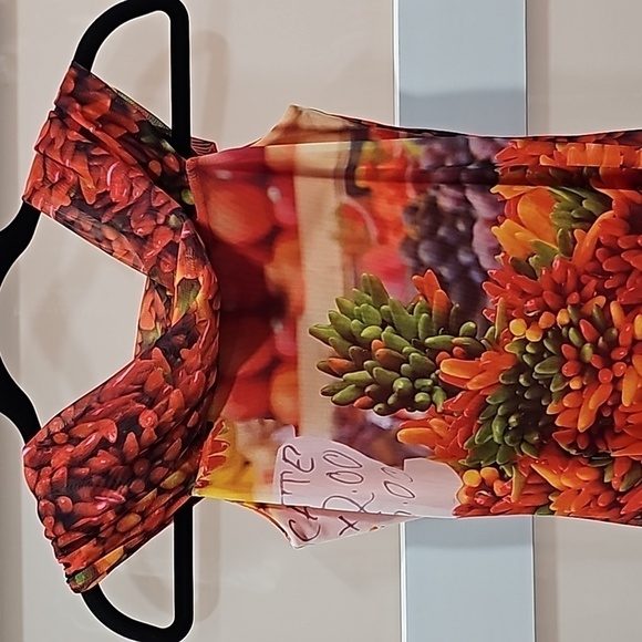 NWT Zara Off Shoulder Midi Chili Pepper Printed Tulle Dress - Size Small - Picture 2 of 5